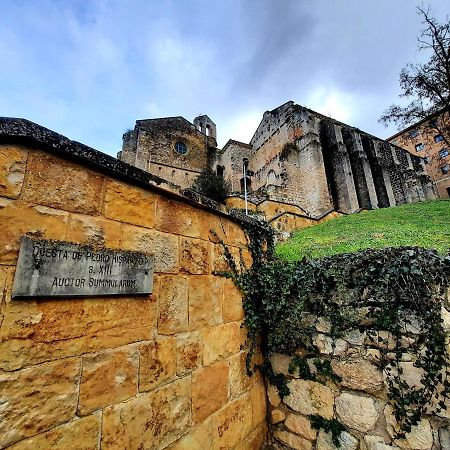 Apartamento Medieval En El Camino De Santiago Estella Exterior foto