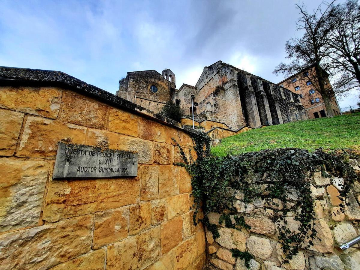 Apartamento Medieval En El Camino De Santiago Estella Exterior foto